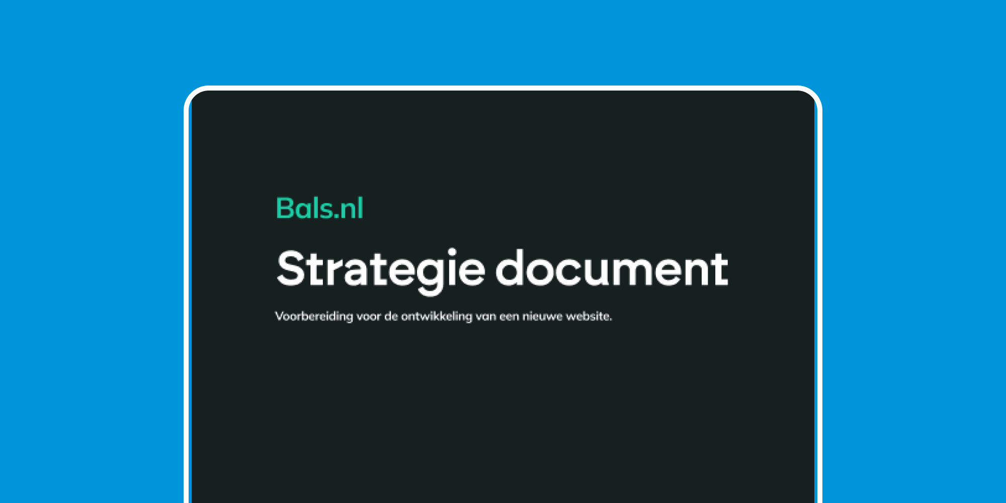 Een wireframe van een productpagina van de website van Bals.