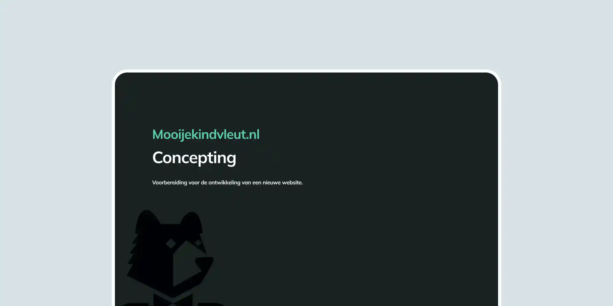 Een wireframe van een productpagina van de website van Bals.